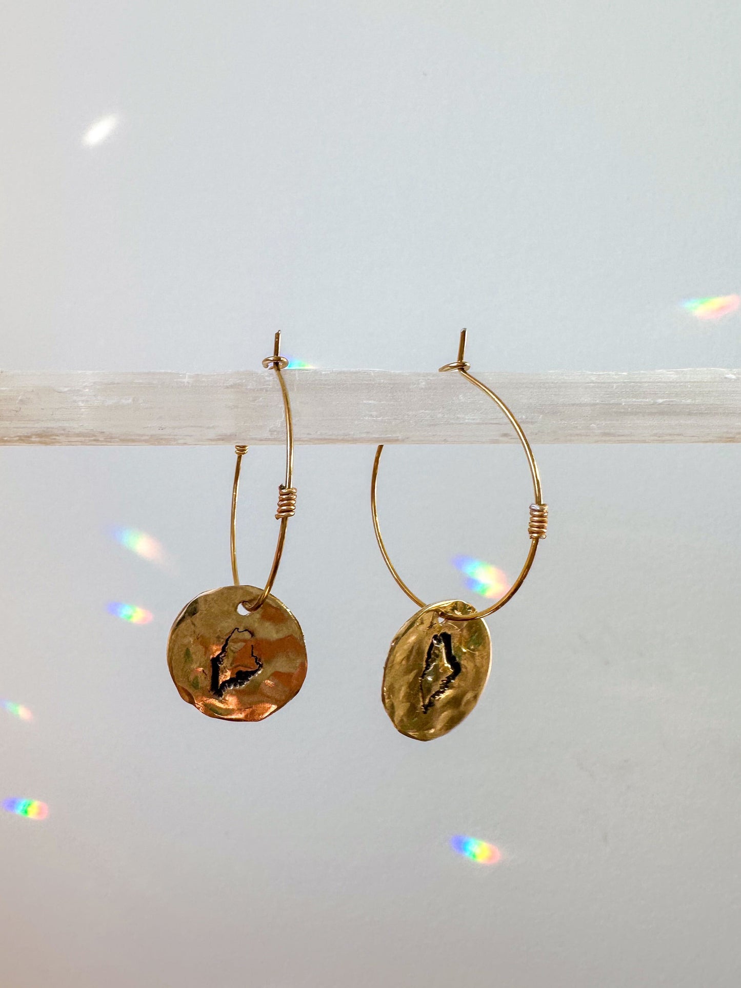 Hammered State Earring