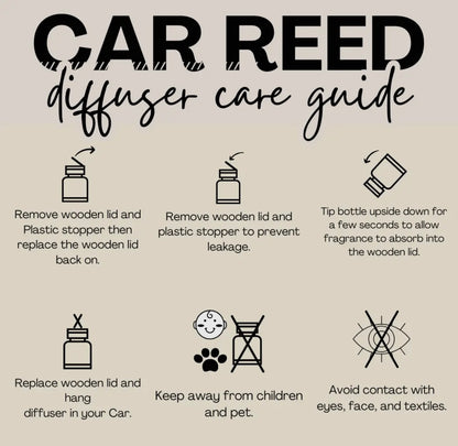 Hanging Car Diffuser
