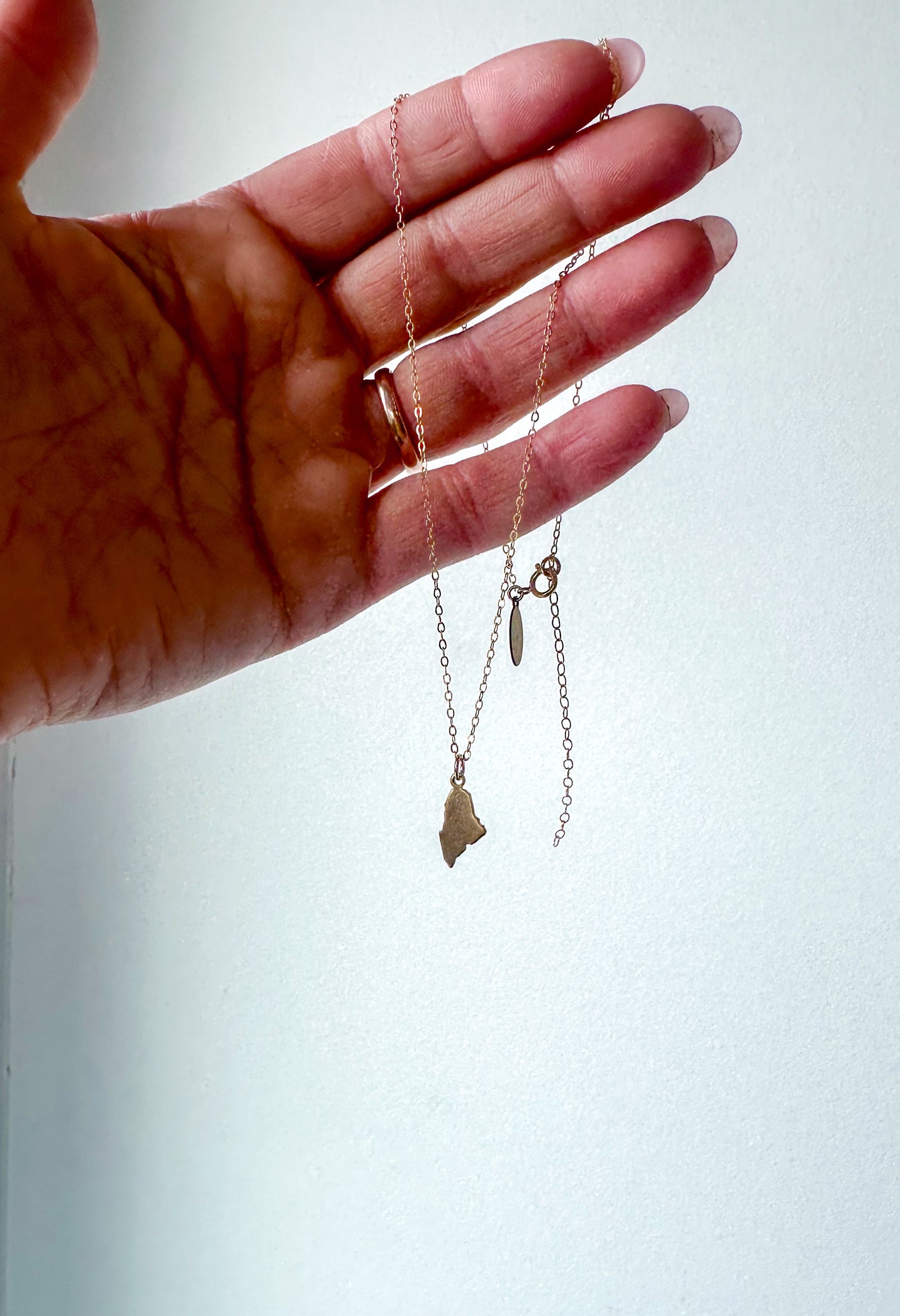 Dainty Maine Brass Charm Necklace