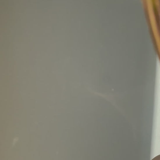 pyrite wall hanging, mood boosting, vibes